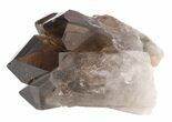 Smoky Quartz Crystal - Brazil #48338-1